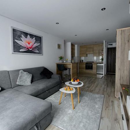 Apartament Przytulny 凯尔采 外观 照片