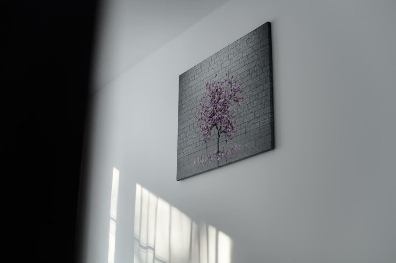 Apartament Przytulny 凯尔采 外观 照片