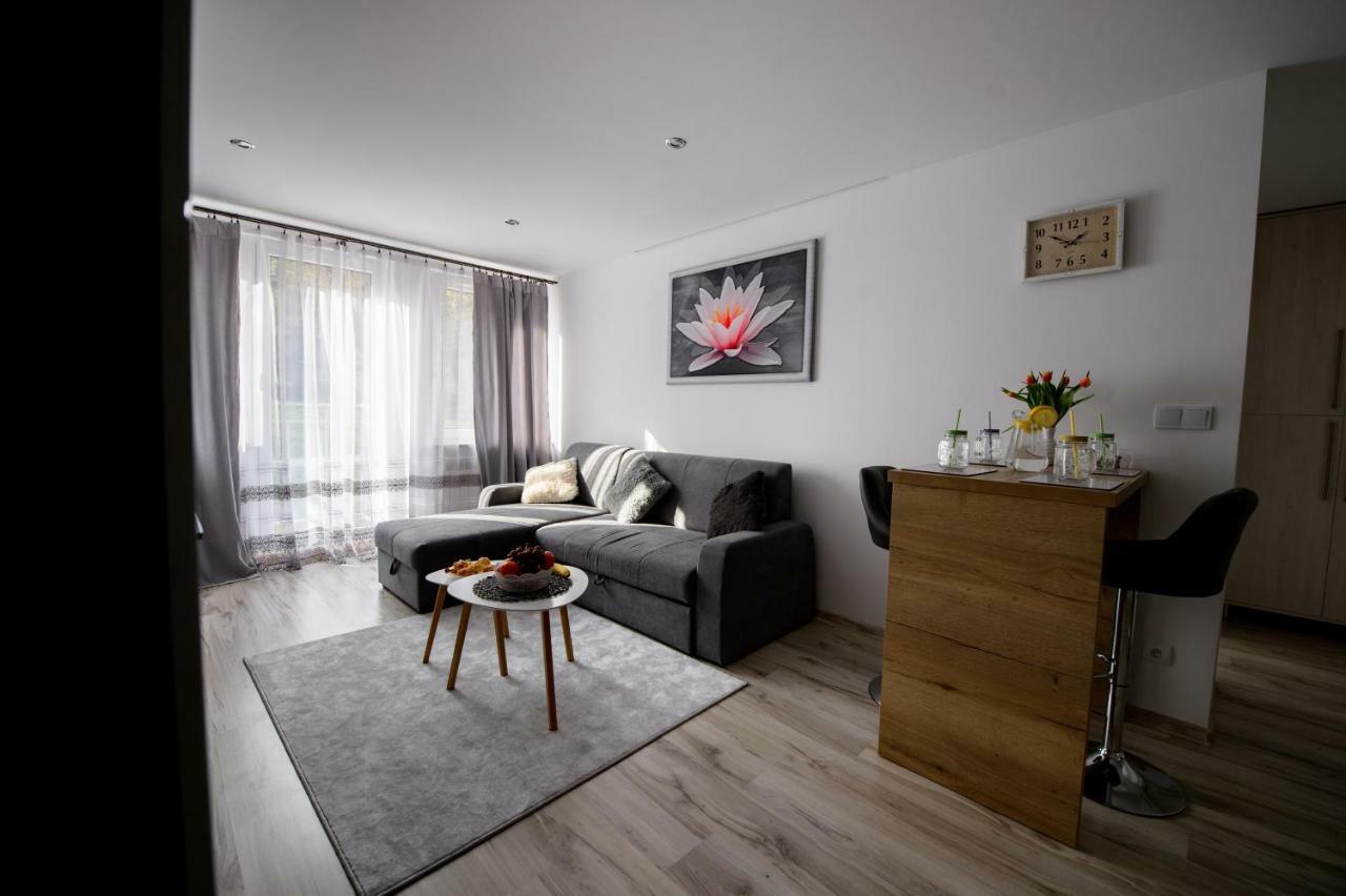 Apartament Przytulny 凯尔采 外观 照片